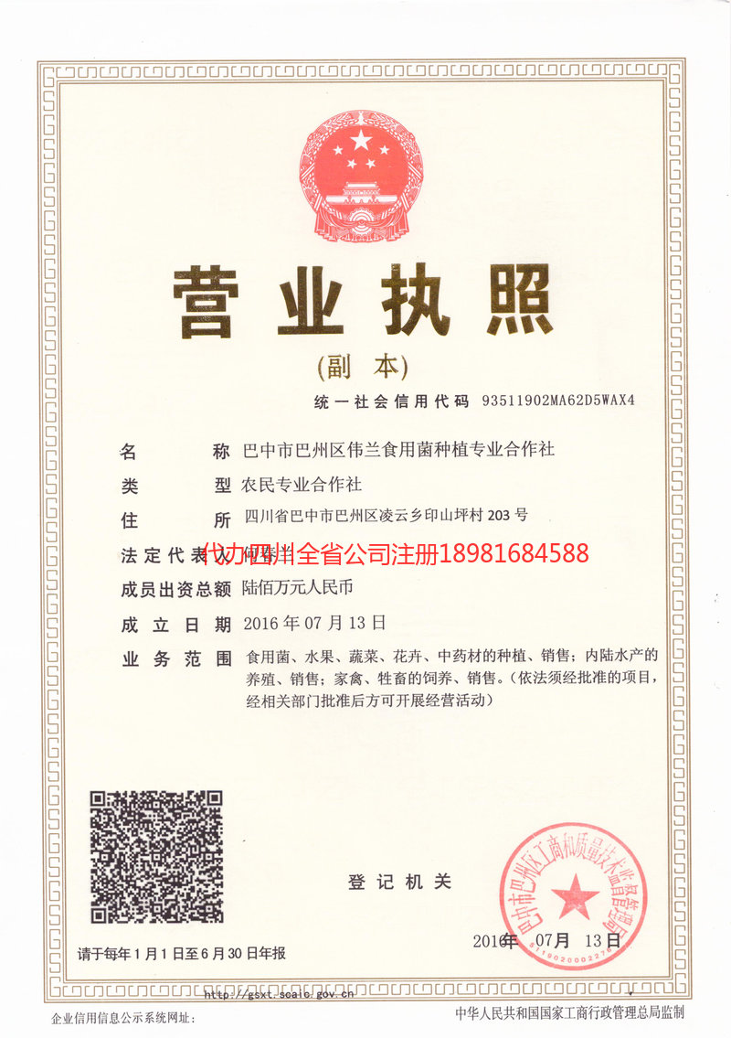 南充南充伟兰食用菌种植专业合作社